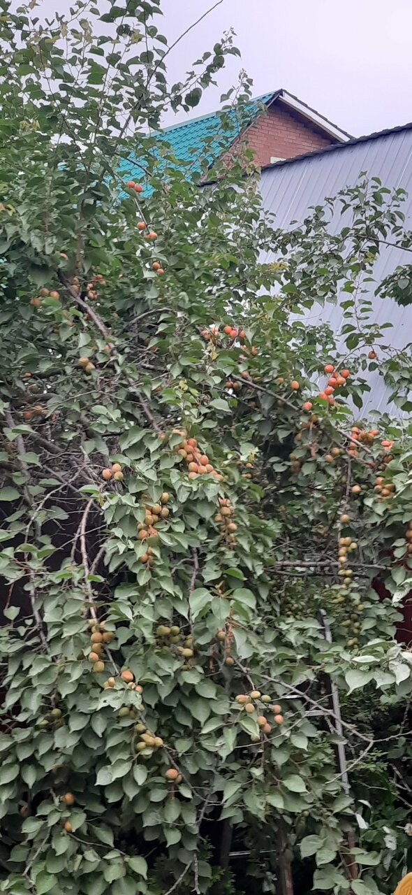 Гостиница Матрёшка Тольятти-64