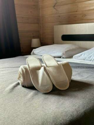 Гостиница Матрёшка Тольятти Классический трехместный номер-5