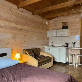 Гостиница Матрёшка Тольятти Стандарт с двуспальной кроватью и односпальным диваном-6