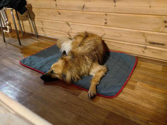 Гостиница Матрёшка Тольятти-125